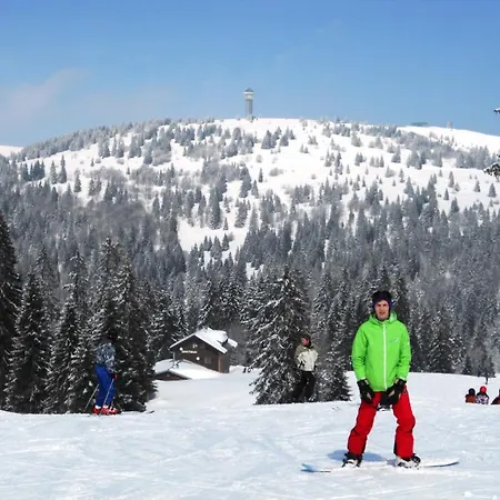 Gaestehaus Behabuehl Feldberg (Baden-Wurttemberg)