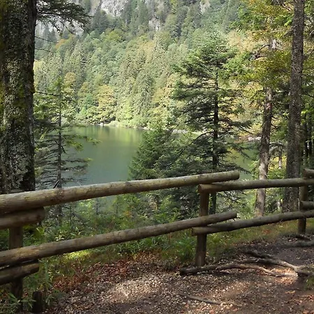 Gaestehaus Behabuehl 3*