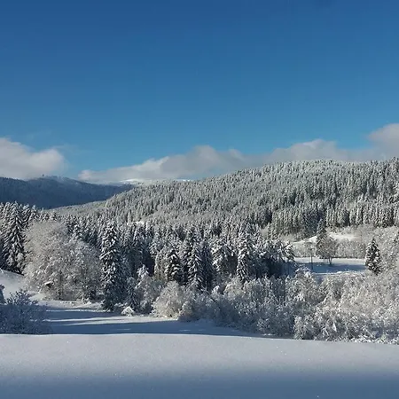 Gaestehaus Behabuehl بيت ضيافة