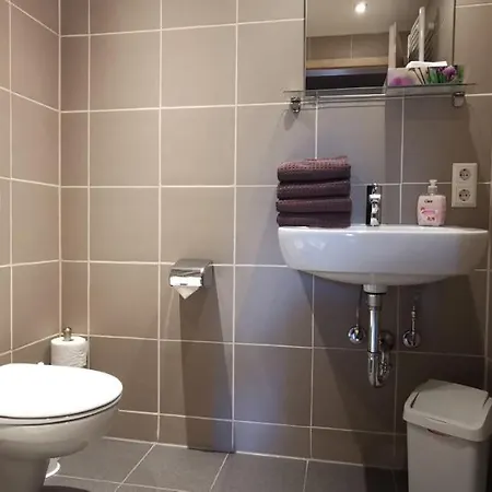 بيت ضيافة Gaestehaus Behabuehl فيلدبرج