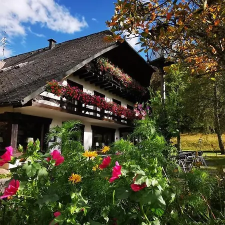 Guest house Gaestehaus Behabuehl 3*