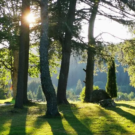 Gaestehaus Behabuehl 3* فيلدبرج